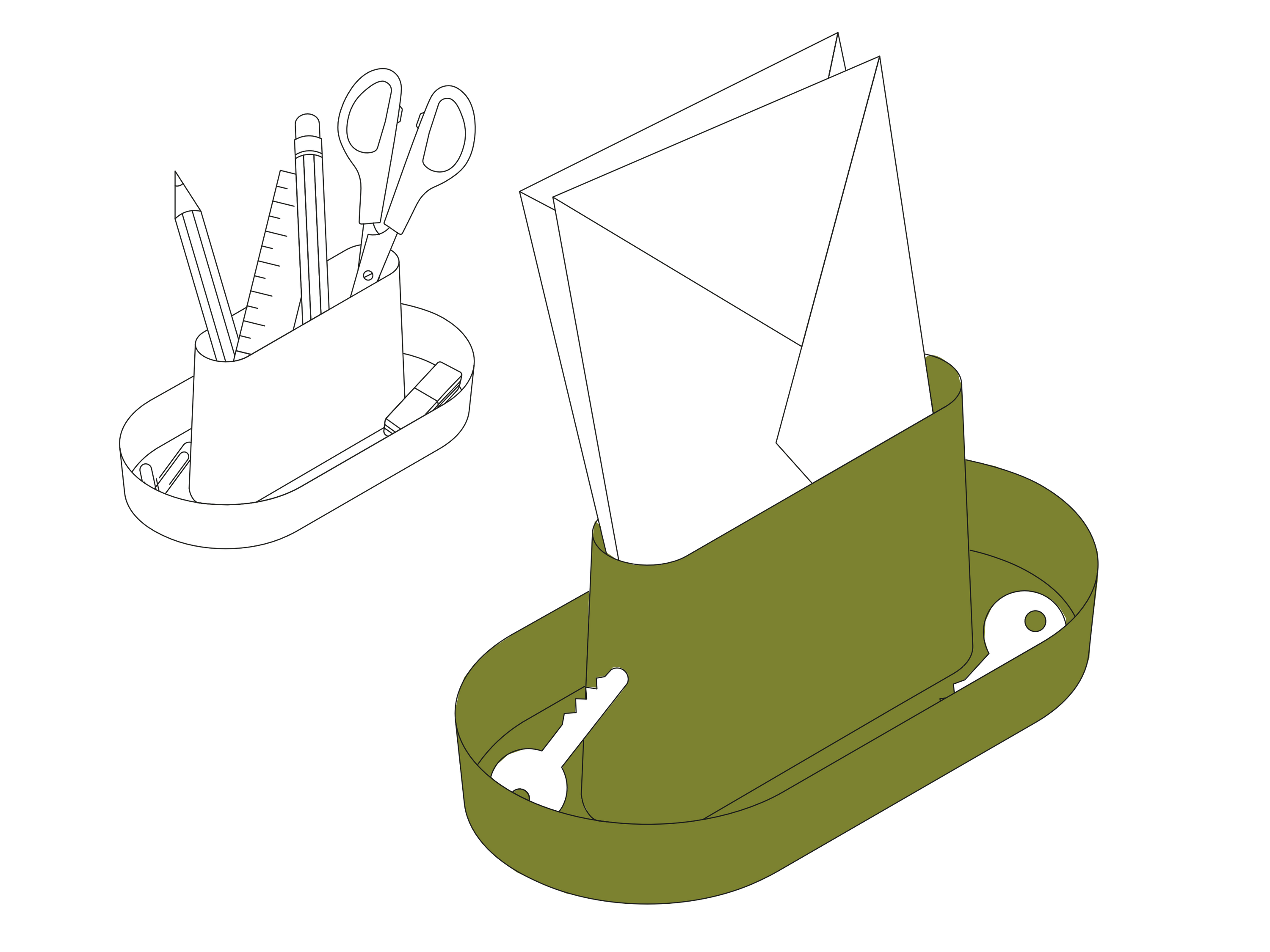 AVISO organizer (olive)